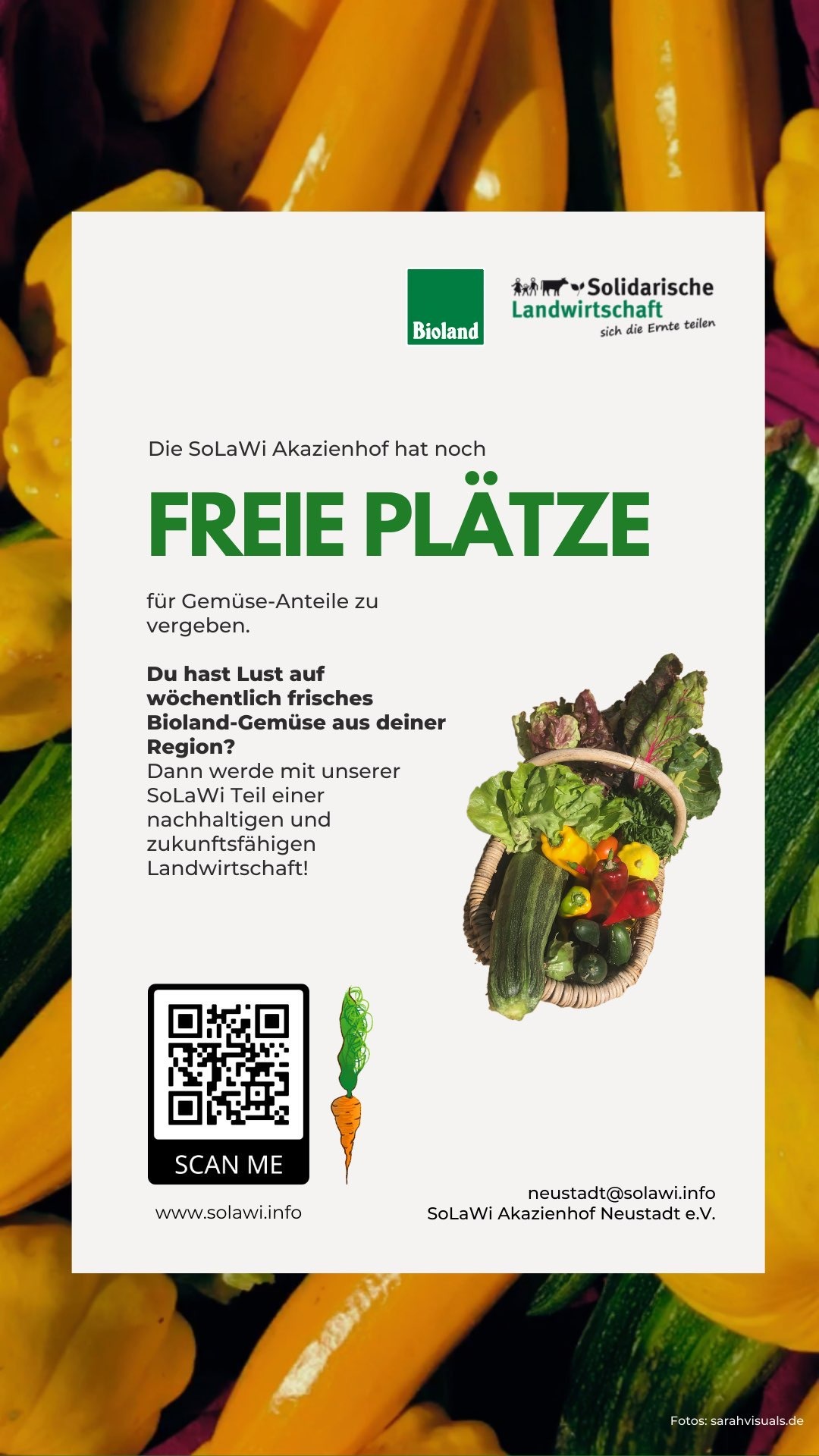 Freie Plätze bei der SoLaWi