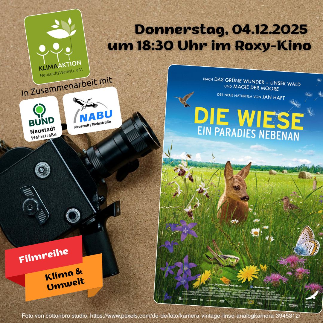 [4.12.] Filmreihe im Roxy Kino: Die Wiese – Ein Paradies nebenan