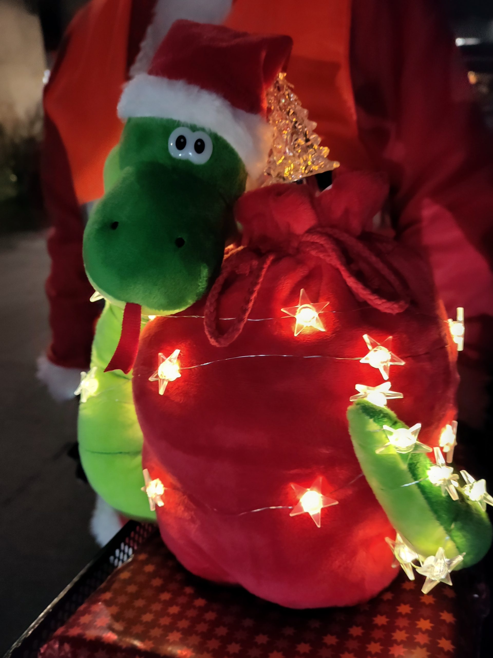 53. Critical Mass - Nikolaus-"Schlangi" im Fahrradkorb