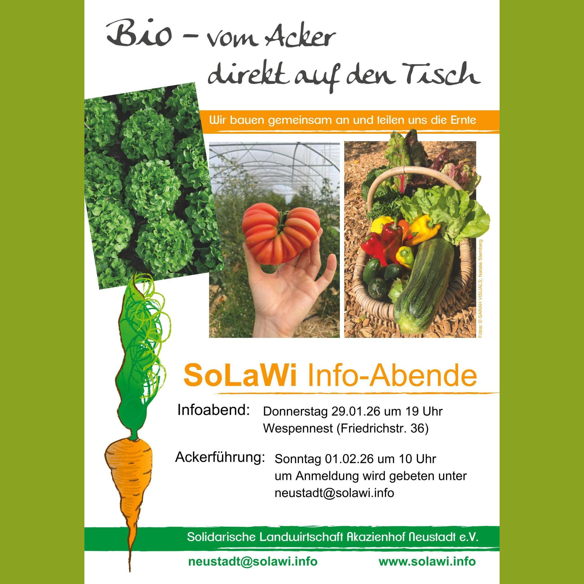 Ackerführung bei der Solawi