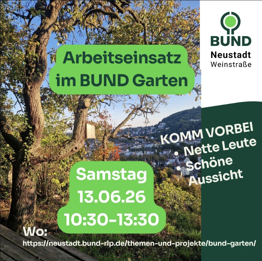 [13.6.] Arbeitseinsatz mit Aussicht im BUND Garten