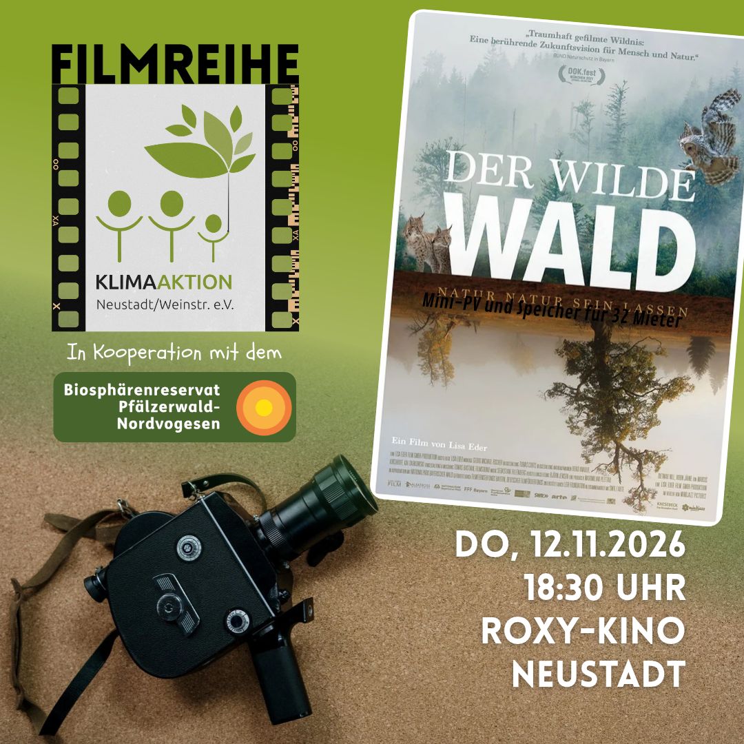 [12.11.] Filmreihe im Roxy: Der Wilde Wald